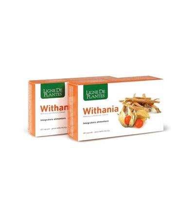 Withania 60cps
