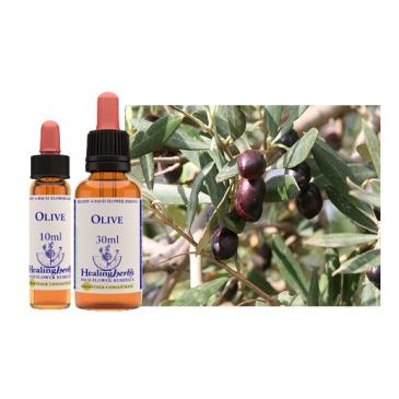 Olive - Fiore di Bach 10ml