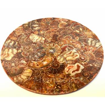 Piatto Mandala in Ammonite Fossile con Opale 25 cm