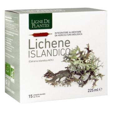 Lichene Islandico 15 ampolle bevibili da 15ml