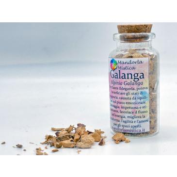 Galanga - Alpinia del Laos 10 g