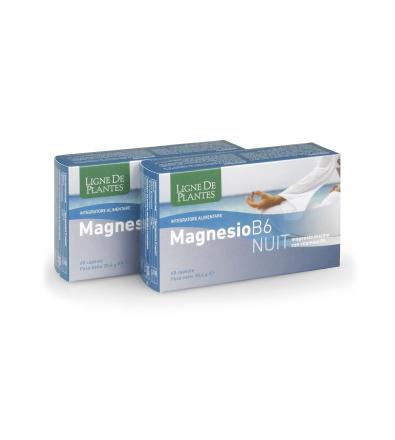 Magnesio B6 NUIT 60 capsule