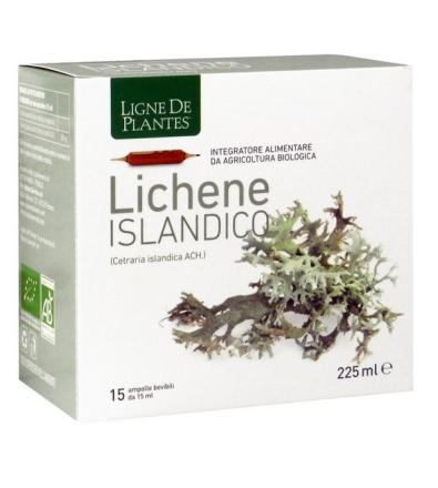 Lichene Islandico 15 ampolle bevibili da 15ml
