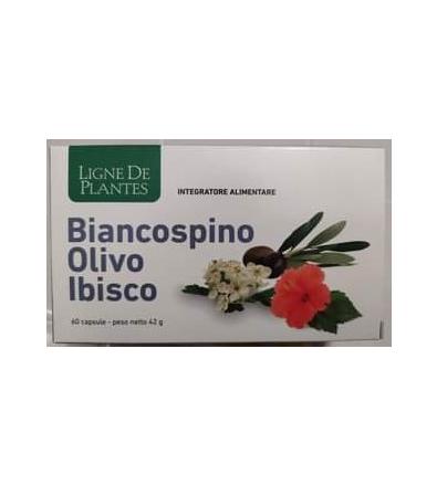 Biancospino, Olivo, Ibisco 60 capsule