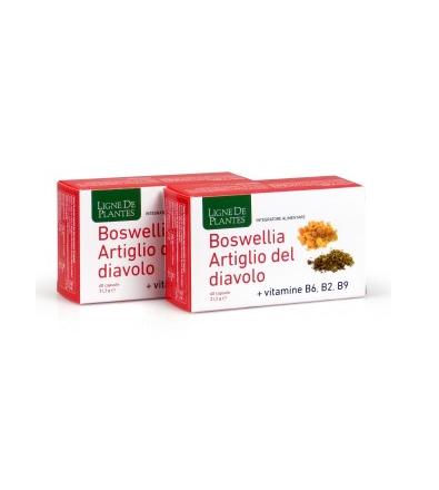 Boswellia, Artiglio del Diavolo, vit. B6, B2, B9 - 60 capsule